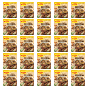 WINIARY Zupa borowikowa 44g X25